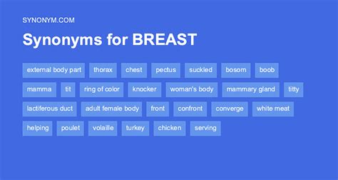 breast synonyms